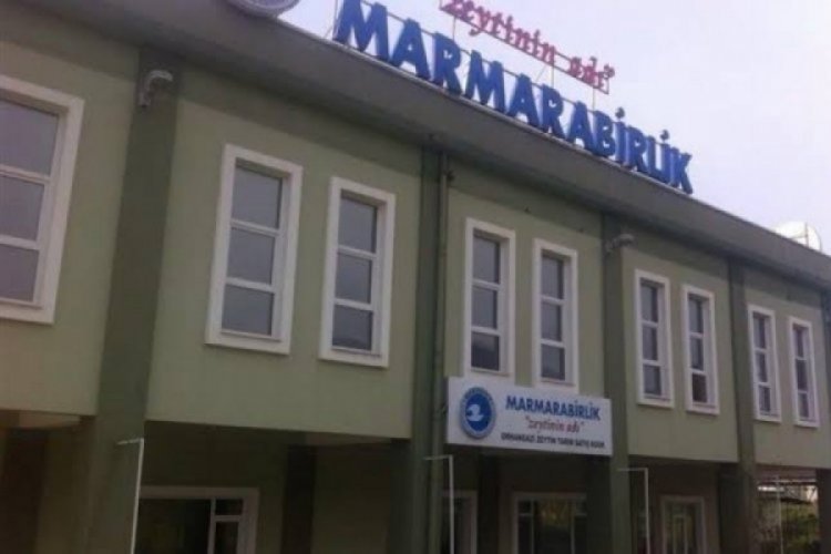 Marmarabirlik Orhangazi Kooperatifi se&ccedil;imi &ouml;ncesi iki isim &ccedil;alışmalara başladı!