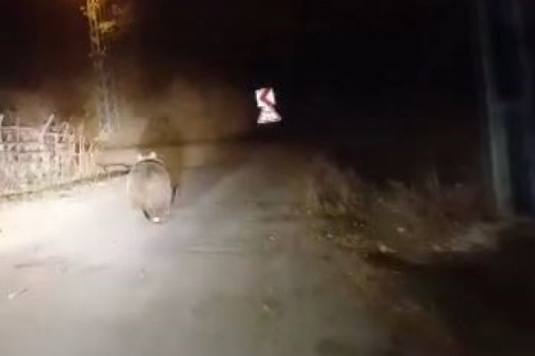 Koca oğlan diye seslendi! G&ouml;r&uuml;nce şaşkına d&ouml;nd&uuml;
