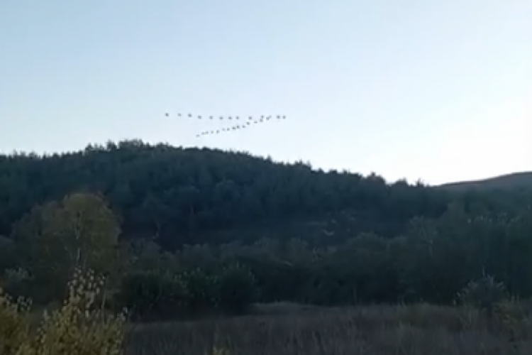 G&ouml;ky&uuml;z&uuml; hareketlendi! Kuşların g&ouml;&ccedil; yolculuğu başladı...