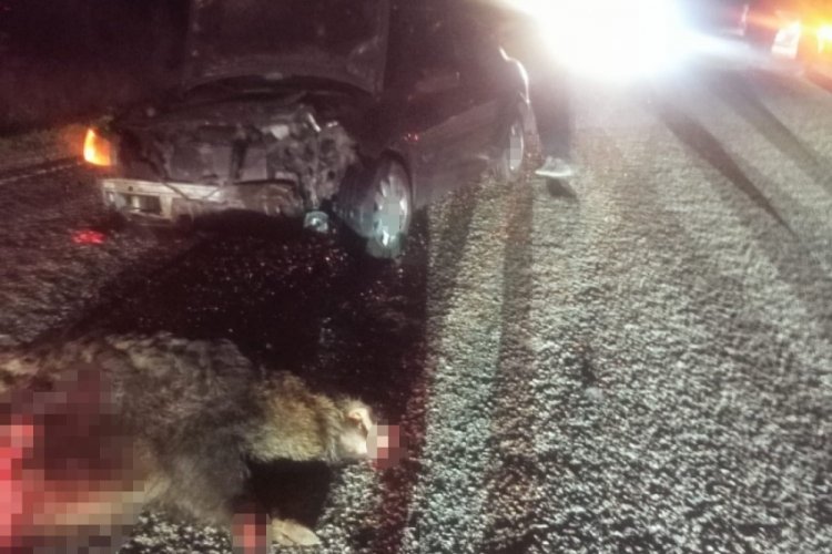 Domuza &ccedil;arpan otomobil hurdaya d&ouml;nd&uuml;: 1 yaralı