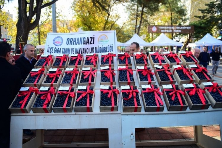 Orhangazi Zeytin Festivali ''Zeytin Dane'' yarışmasının &ouml;d&uuml;lleri belli oldu!