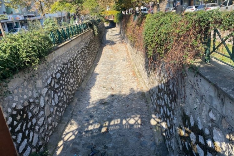 Bursa'nın göbeğinde fare alarmı! Kuruyan dere fare yuvasına döndü... 