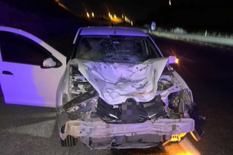 Otomobilin &ccedil;arptığı at telef oldu
