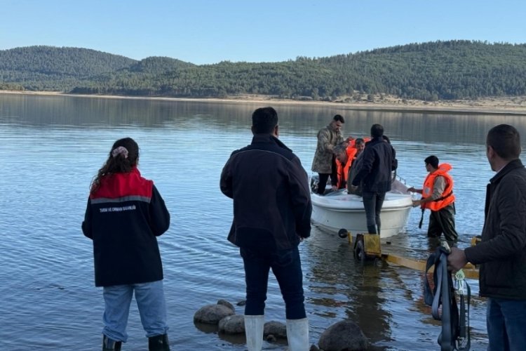 Bolu'da 5 kilometrelik hayalet ağ toplandı: 500 balık canlı kurtarıldı