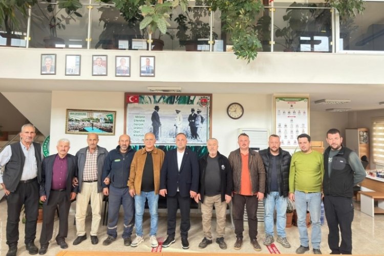 Orhangazi Ziraat Odası, olması gereken zeytin alım fiyatlarını a&ccedil;ıkladı!