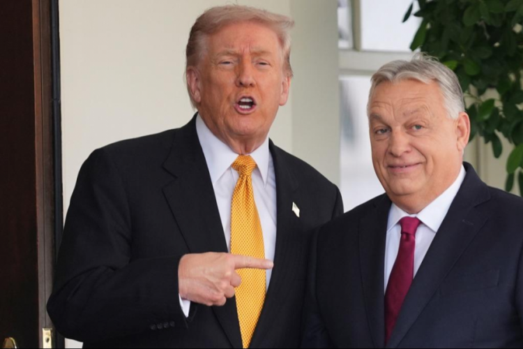 ABD Başkanı Trump, Macaristan Başbakanı Orban'ı Beyaz Saray'da kabul etti