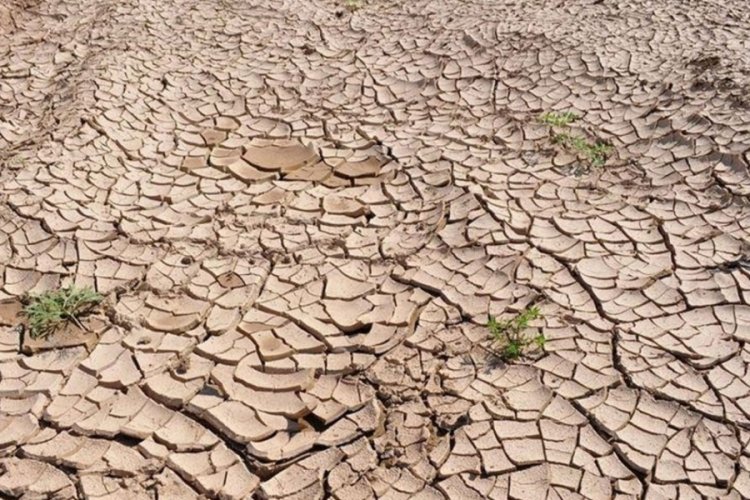 Adana'da yağışlar son 52 yılın en d&uuml;ş&uuml;k seviyesine geriledi