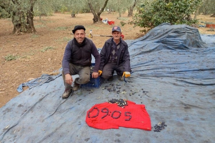 Bursa'da zeytin tarlasında Ata'ya minnet yazıldı...