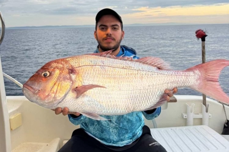 Balık&ccedil;ılar şaşkın: 12 kilogramlık balık yakaladılar