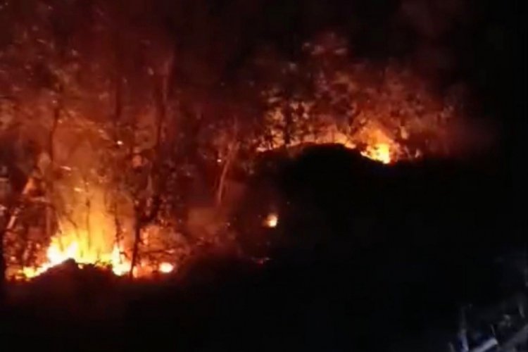 Hatay'da iki ayrı noktada yıldırım kaynaklı orman yangını kontrol altına alındı
