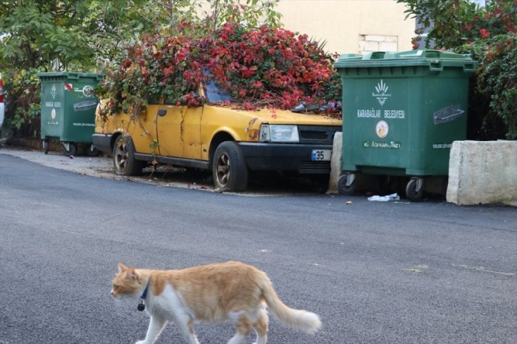 8 yıldır park halindeydi! Zamanla bu hale geldi