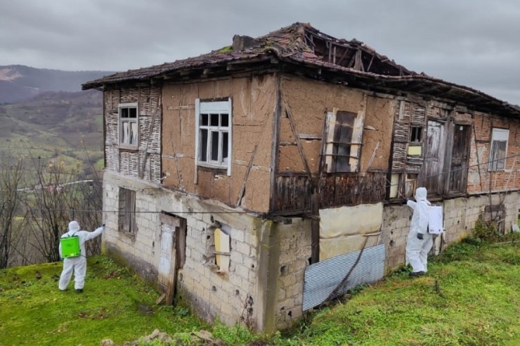 Tarım ve Orman İl M&uuml;d&uuml;rl&uuml;ğ&uuml;'nden 'Kahverengi Kokarca' &ccedil;ağrısı