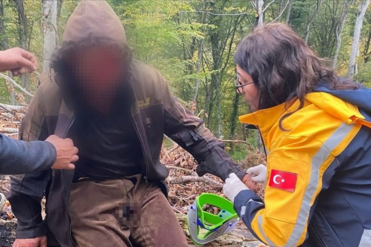 Ayının saldırısına uğrayan vatandaş i&ccedil;in ekipler seferber oldu
