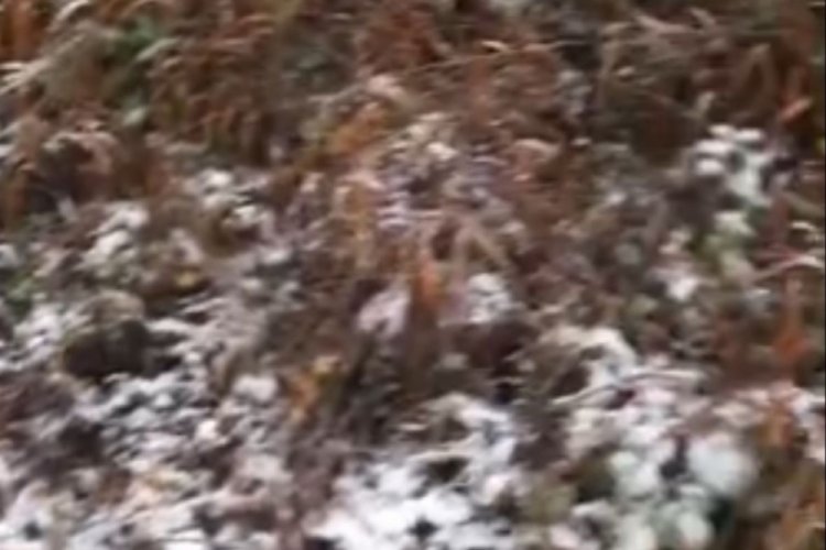 Bolu'nun y&uuml;kseklerinde kar yağışı