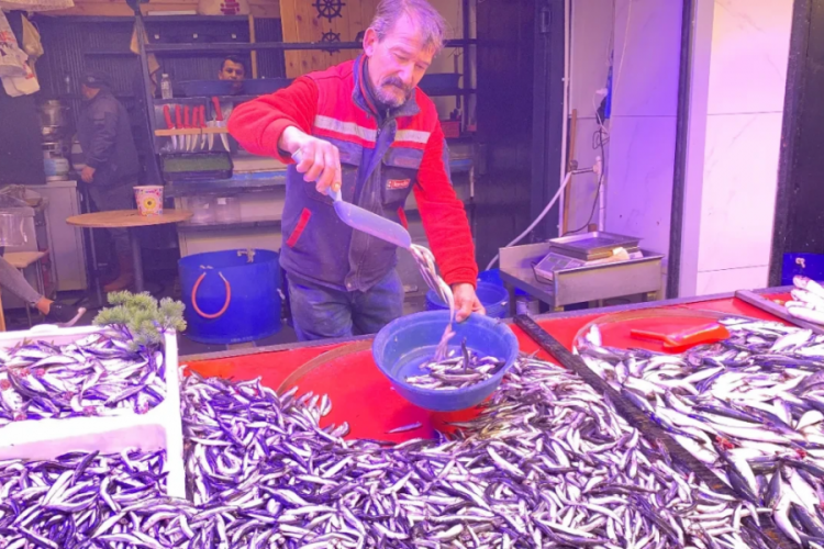 Denizlerde bollaşan hamsi tezgahlarda 100 TL'ye yer buldu