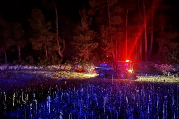 Muğla'da &ccedil;ıkan orman yangını kısa s&uuml;rede kontrol altına alındı