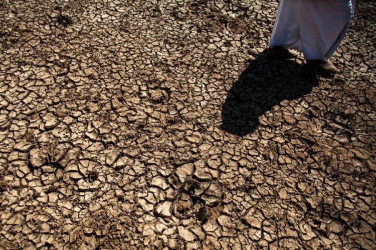 FAO'dan T&uuml;rkiye'deki erozyon ve kuraklık tehlikesine 8,1 milyon dolarlık estek