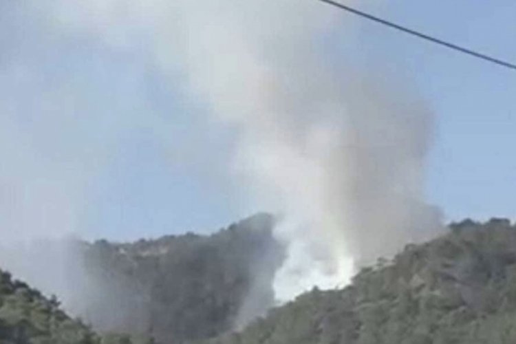 Muğla'da orman yangını: Ekipler m&uuml;dahale ediyor