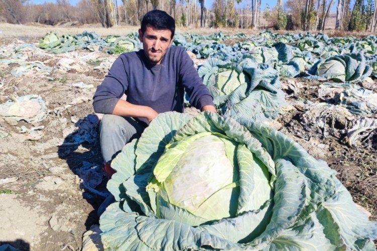 Baba-oğul 30 yıldır &uuml;retiyor: B&ouml;lgeye organik &uuml;r&uuml;n sunuyor