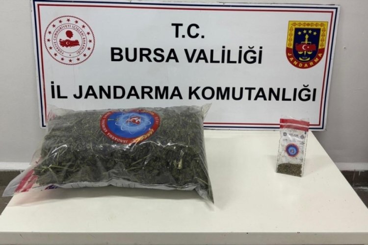 Bursa'da jandarma y&uuml;kl&uuml; miktarda uyuşturucu ele ge&ccedil;irdi!