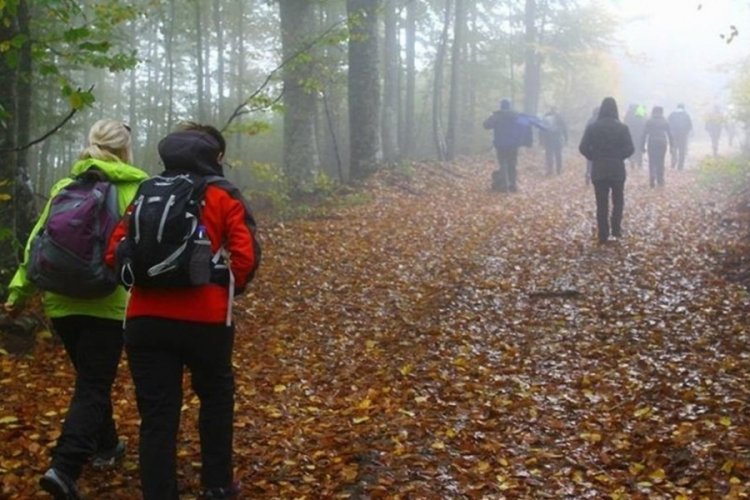 Doğa y&uuml;r&uuml;y&uuml;ş&uuml; yapan 5 turist hayatını kaybetti
