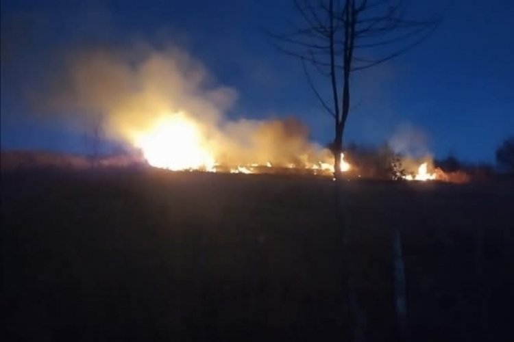 Fındık bah&ccedil;esinde korkutan yangın