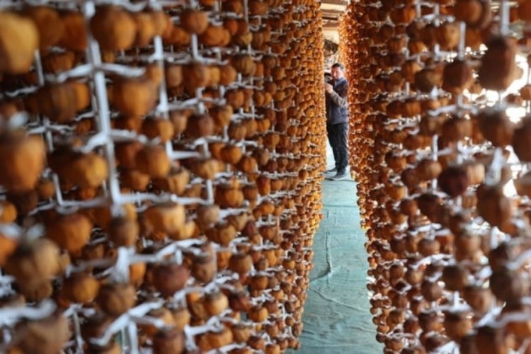 K&ouml;yde &uuml;retip yurt dışına g&ouml;nderiyorlar! &Uuml;retim 500 kilodan 14 tona &ccedil;ıktı