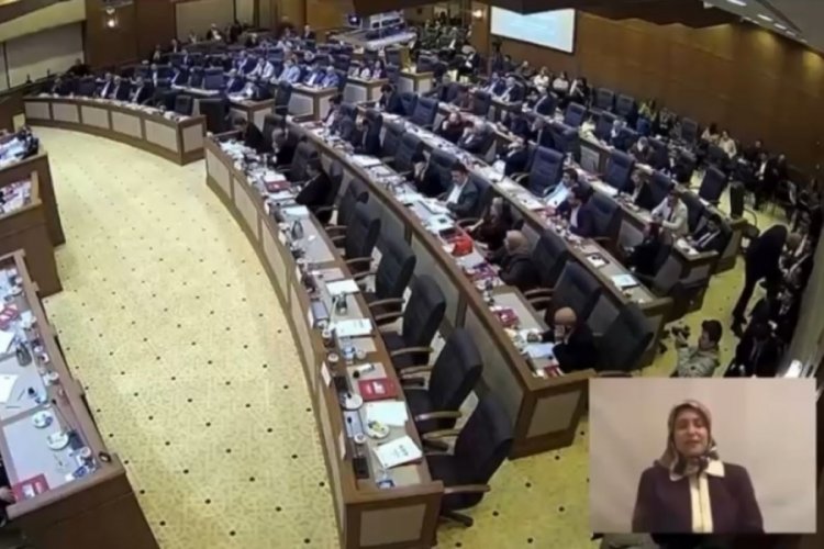 CHP Meclis &uuml;yesinden zeytin a&ccedil;ıklaması! '' Destekler arttırılmalı, Zeytinin geleceği korunmalı''