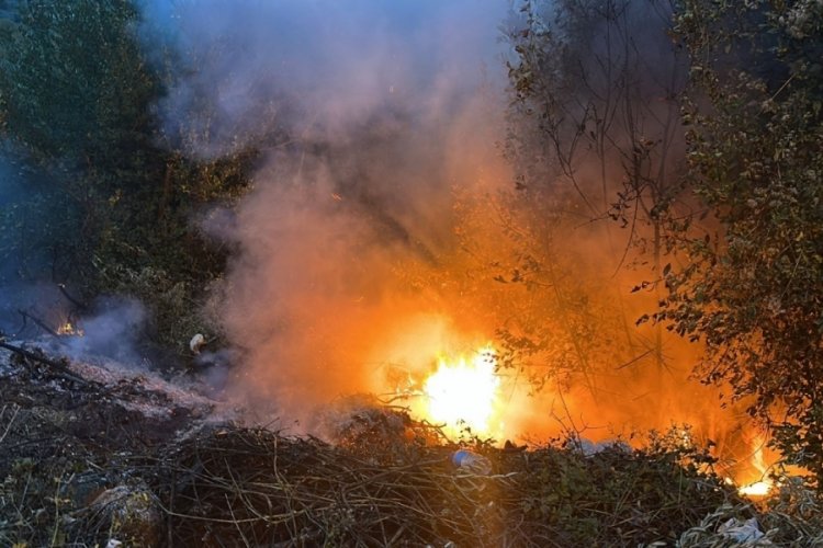 Bursa'da yangın paniği! Temizlik i&ccedil;in yakılan ateş kontrolden &ccedil;ıktı