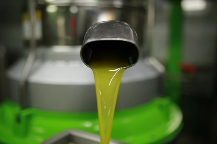 Zeytinyağında tüketiciyi bekleyen tehlike! Sahte ve gerçek nasıl ayırt edilir?