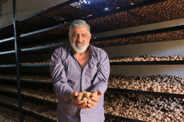 K&ouml;y&uuml;ne d&ouml;nen gurbet&ccedil;i serveti buldu! Avrupa'daki işinden fazla kazanıyor...