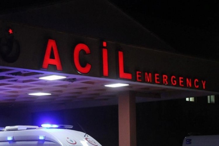 Bursa'da kahreden kaza! Budadığı ağa&ccedil;tan d&uuml;şerek yaşamını yitirdi...