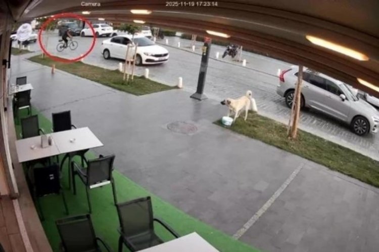 Yolun karşısına ge&ccedil;mek isteyen bisikletliye otomobil &ccedil;arptı: 1 yaralı