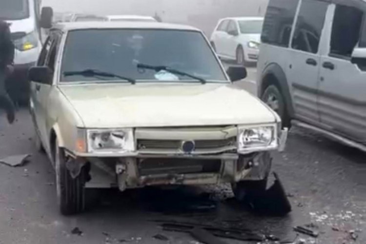 Siirt'te sis kazaya neden oldu: 3 koyun telef oldu