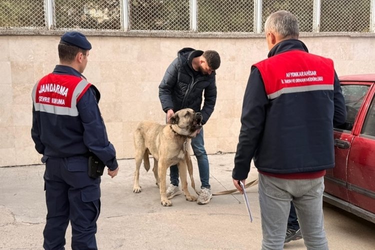 Vicdansızlığa g&ouml;z yumulmadı! &Ccedil;ok sayıda kişi g&ouml;zaltında...