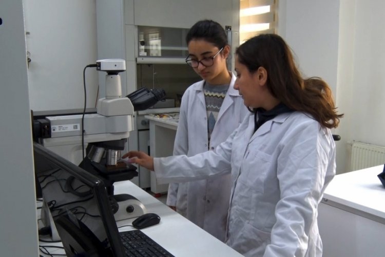 BTÜ'den Türkiye'de bir ilk