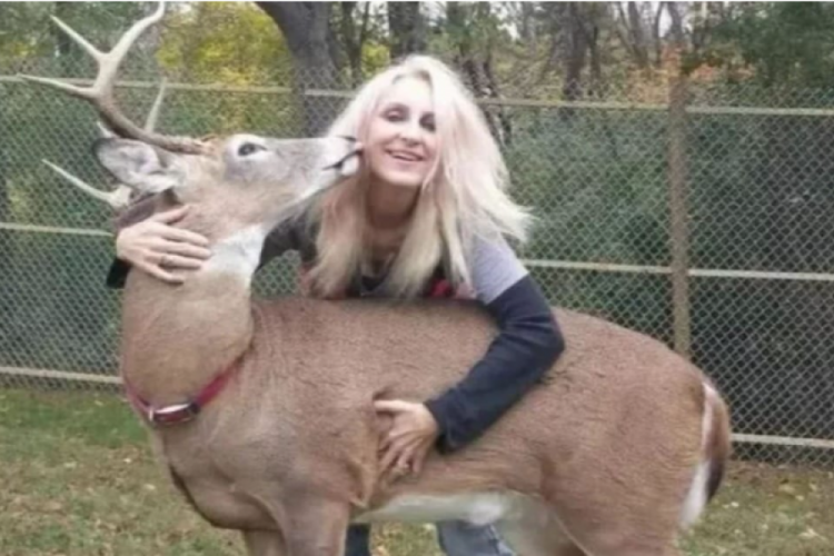 Baktığı geyik tarafından &ouml;ld&uuml;r&uuml;ld&uuml;
