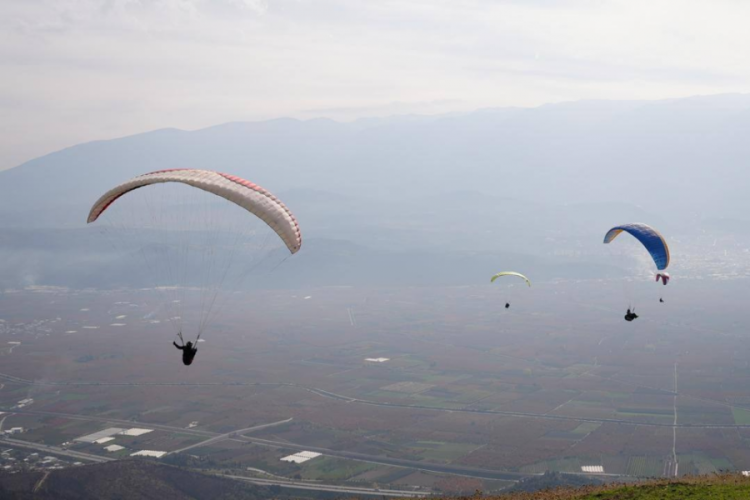 Bursa'nın yanan ormanlarına g&ouml;ky&uuml;z&uuml;nden tohum ekildi!