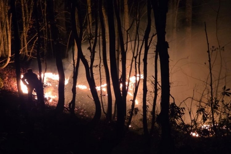Ordu'da &ccedil;ıkan &ouml;rt&uuml; yangınına m&uuml;dahale ediliyor