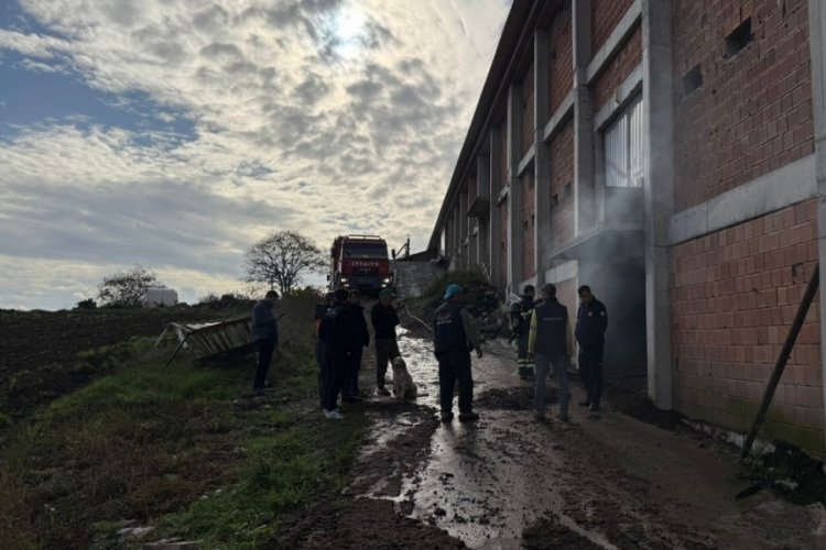 Tavuk &ccedil;iftliğinin depo kısmında yangın