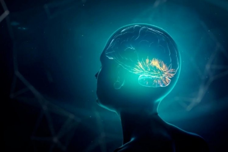 Araştırma: İnsan beyni 5 evreden geçiyor, 32 yaşına kad...