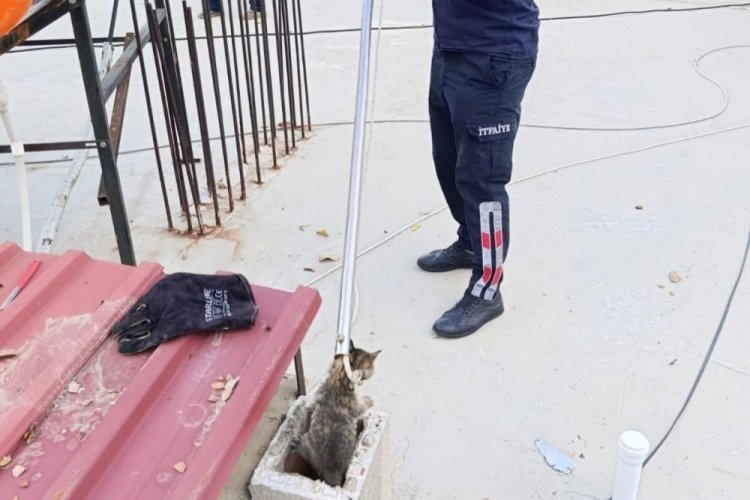 Bacaya sıkışan kediyi itfaiye kurtardı