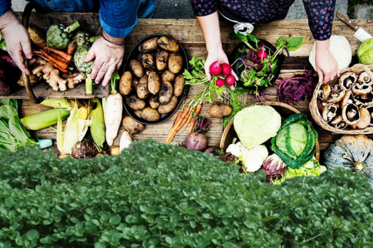 Dünyanın en sağlıklı sebzesi açıklandı! Faydasıyla dokt...