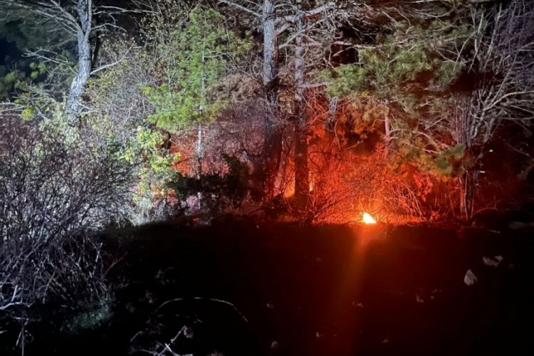 Bolu'da ormanlık alanda yangın &ccedil;ıktı