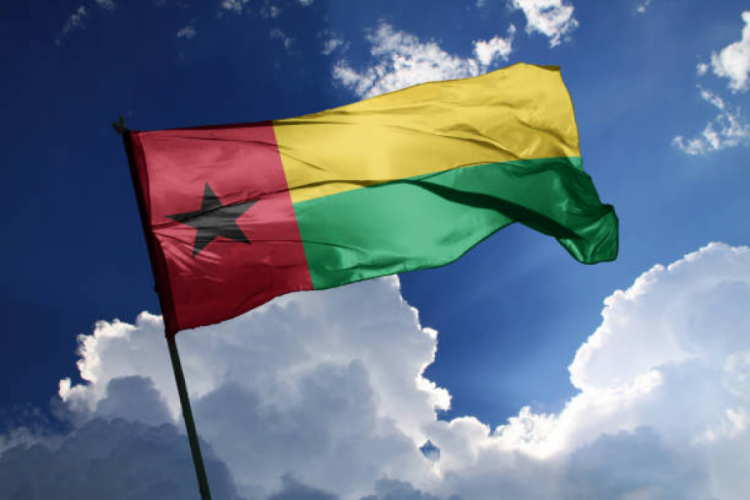 Gine Bissau'da darbe sonrası başbakan belli oldu