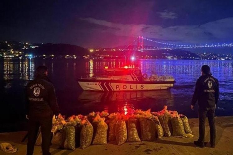 İstanbul'da ele ge&ccedil;irildi! Tam 2 ton 350 kilogram canlı midye