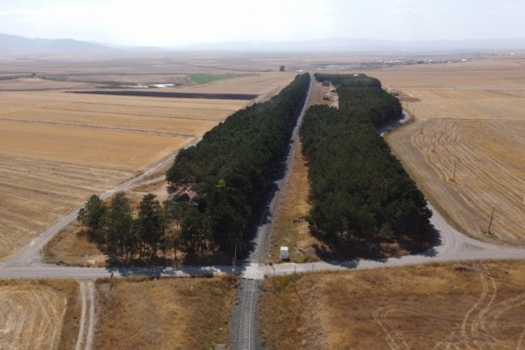 Bozkırın ortasındaki vaha havadan g&ouml;r&uuml;nt&uuml;lendi