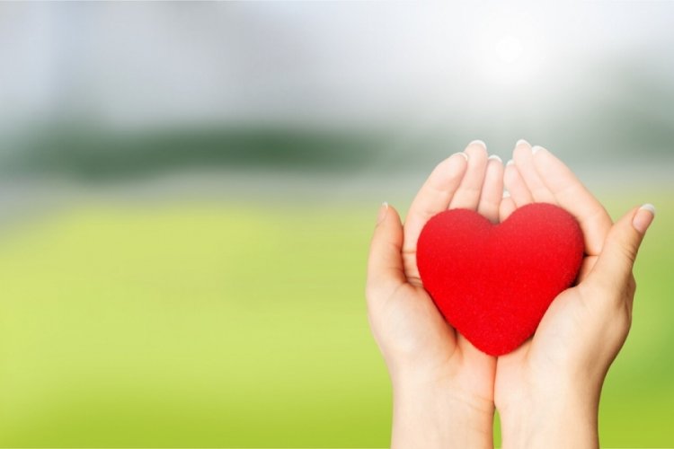 Şehit ve Gazi Ailelerine Nasıl Destek Olabilirsiniz?