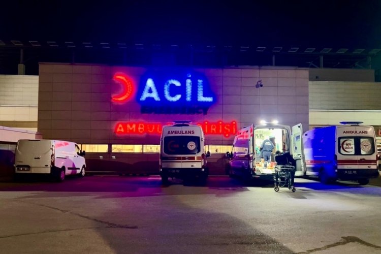 Pitbull dehşet sa&ccedil;tı! 1 bu&ccedil;uk ve 5 yaşındaki kardeşler feci şekilde yaralandı...