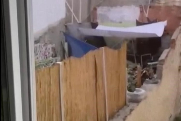 Eskişehir'de k&ouml;peğe eziyet eden şahıs yakalandı